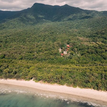 Pk'S Jungle Village Cape Tribulation Bagian luar foto