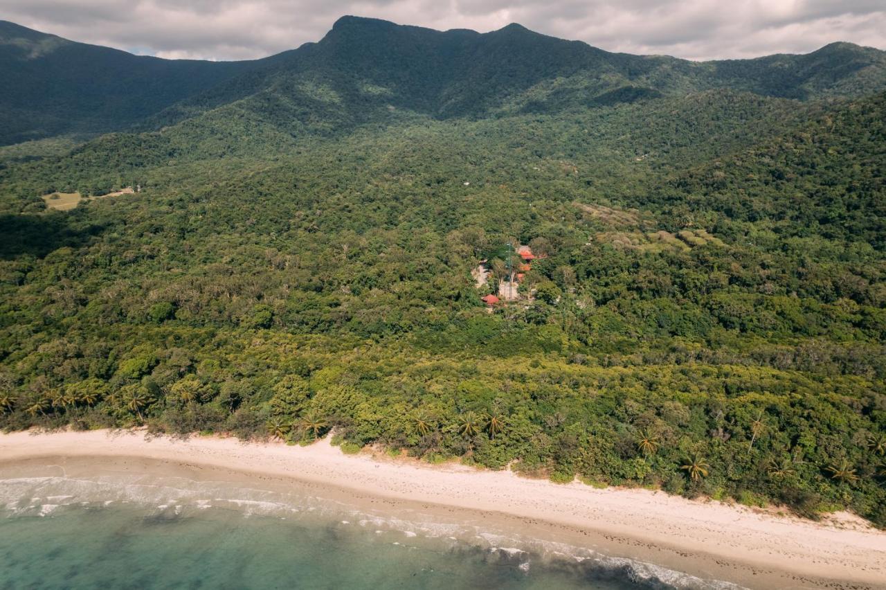 Pk'S Jungle Village Cape Tribulation Bagian luar foto