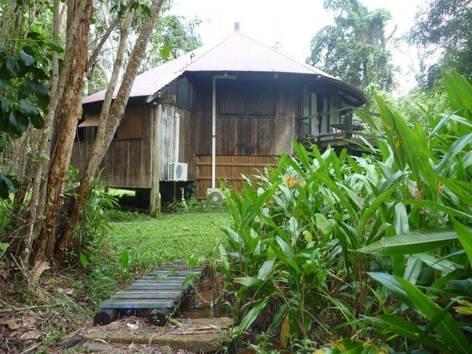 Pk'S Jungle Village Cape Tribulation Bagian luar foto