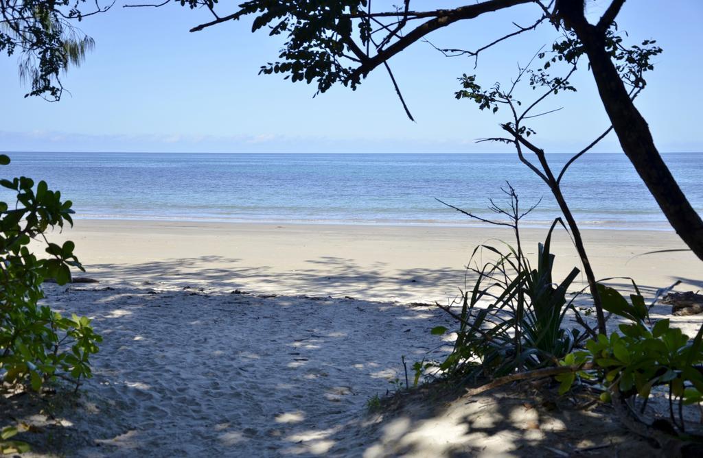 Pk'S Jungle Village Cape Tribulation Bagian luar foto