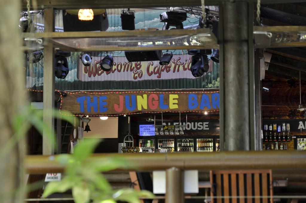Pk'S Jungle Village Cape Tribulation Bagian luar foto