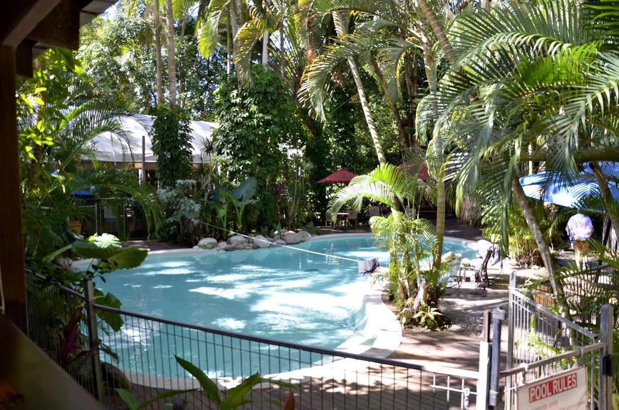 Pk'S Jungle Village Cape Tribulation Bagian luar foto
